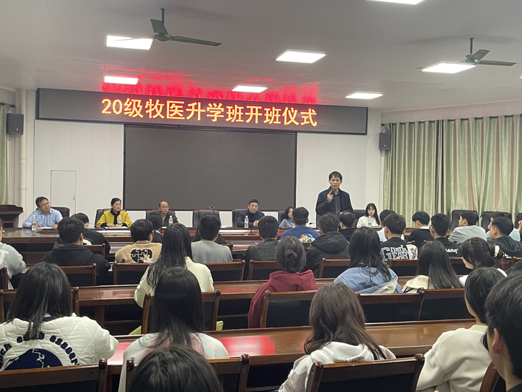 2教研督导室黄雪泉主任在作动员.jpg 2教研督导室黄雪泉主任在作动员.jpg