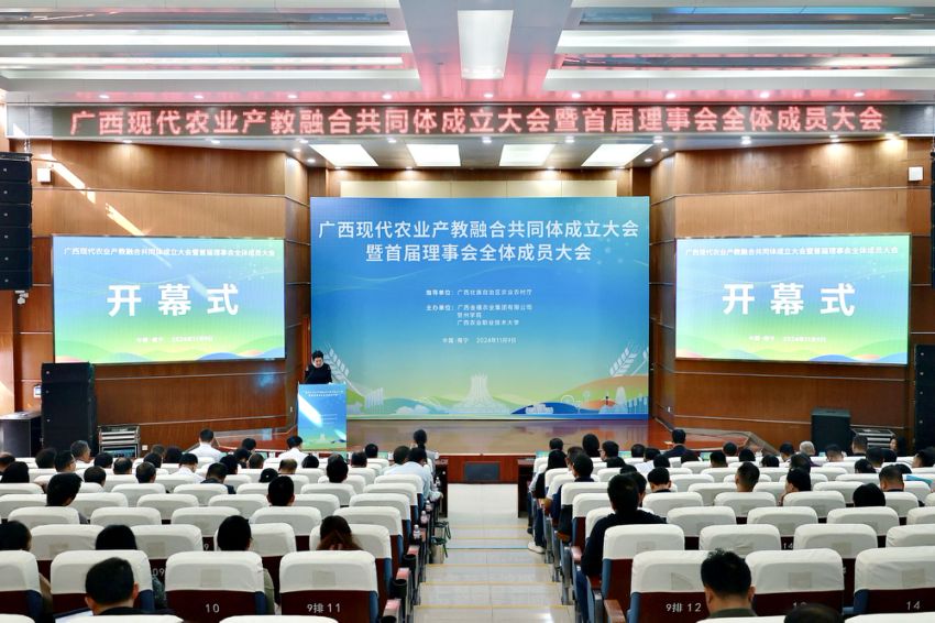 图一 大会现场.jpg