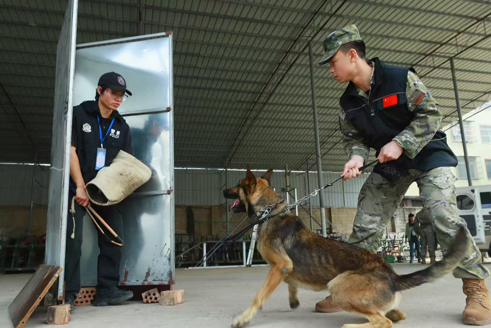 广西武警总队军犬防卫训练.jpg